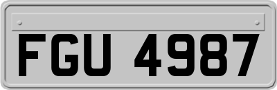 FGU4987