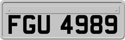 FGU4989