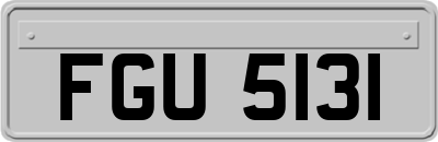 FGU5131