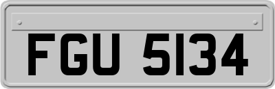 FGU5134
