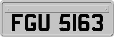 FGU5163