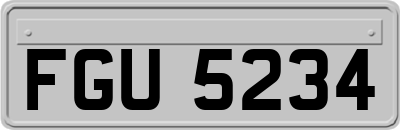FGU5234