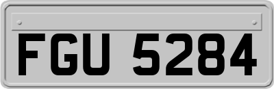FGU5284
