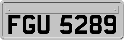 FGU5289