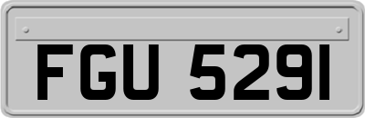 FGU5291