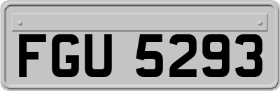 FGU5293