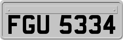 FGU5334