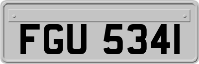 FGU5341