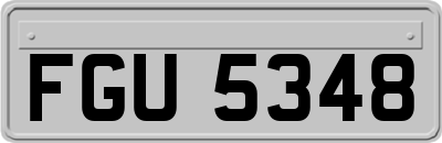 FGU5348