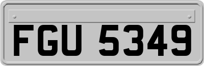 FGU5349