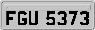 FGU5373