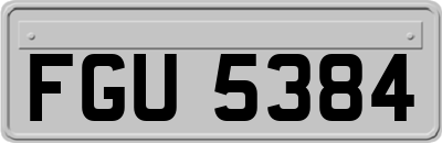 FGU5384