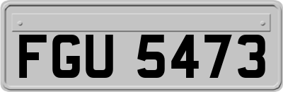 FGU5473