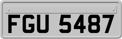 FGU5487