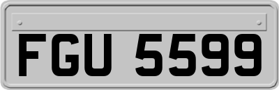 FGU5599