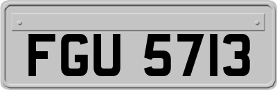 FGU5713