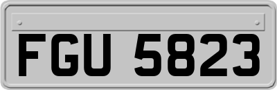 FGU5823