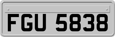 FGU5838