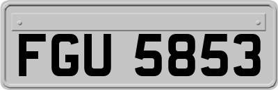 FGU5853