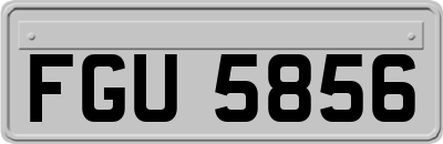 FGU5856