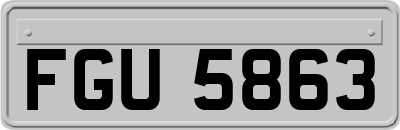 FGU5863