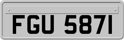 FGU5871