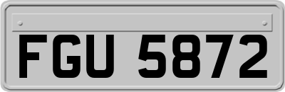 FGU5872