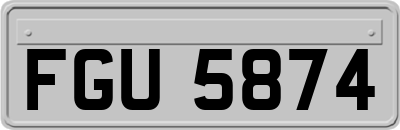 FGU5874