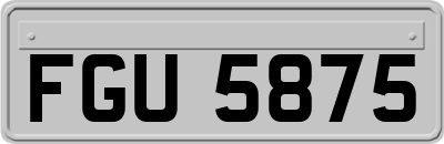 FGU5875