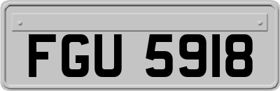 FGU5918