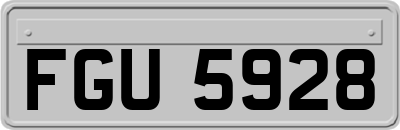 FGU5928