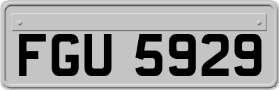FGU5929