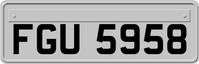 FGU5958
