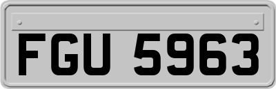 FGU5963
