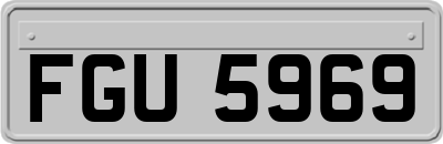 FGU5969