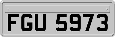 FGU5973