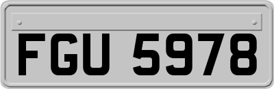 FGU5978
