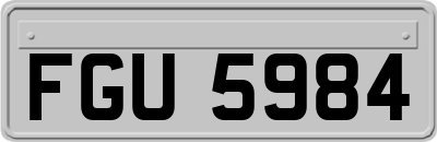 FGU5984
