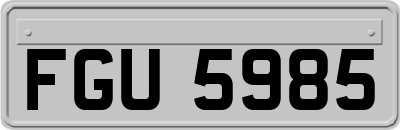 FGU5985