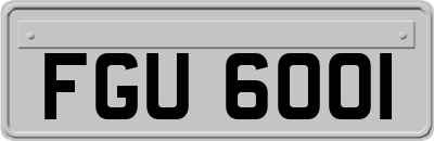 FGU6001