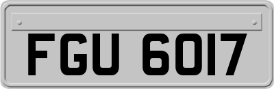 FGU6017