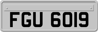 FGU6019