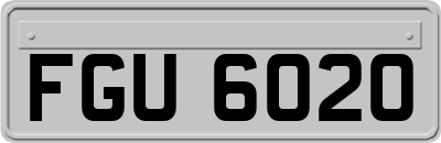FGU6020