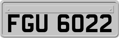 FGU6022