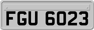 FGU6023