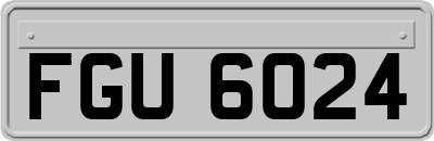 FGU6024