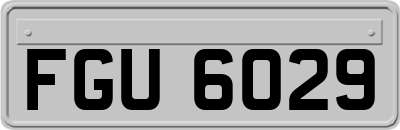FGU6029