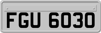 FGU6030