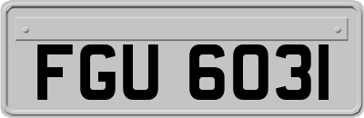 FGU6031