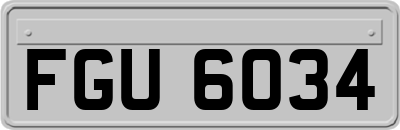 FGU6034